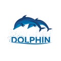 Dolphinarium. Dolphin logo. Banner. Vector flat illustration.