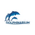 Dolphinarium. Dolphin logo. Banner. Vector flat illustration.