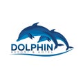Dolphinarium. Dolphin logo. Resort and Hotel. Vector flat illustration. Royalty Free Stock Photo