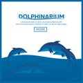 Dolphinarium. Dolphin show. Banner. Ticket. Vector flat illustration.