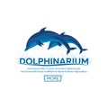 Dolphinarium. Dolphin show. Banner. Ticket. Vector flat illustration.