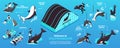 Dolphinarium Isometric Infographics Layout