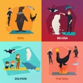 Dolphinarium Show Concept Icons Set