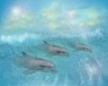 Dolphins art illustration