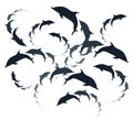 Dolphins circles background