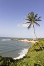 Dolphins Cove - Natal Brazil beaches Royalty Free Stock Photo