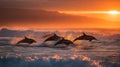 Dolphins Jumping in Orange Sunset Ocean Royalty Free Stock Photo