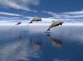 Dolphins jumping out of water Royalty Free Stock Photo