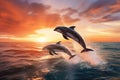 Dolphins jumping out of the water on a beautiful sunset background, Beautiful bottlenose dolphins jumping out of sea at sunset, AI Royalty Free Stock Photo