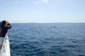 Dolphins near Channels Islands, California