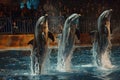 dolphins performing show at the circus,dolphinarium