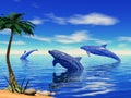 Dolphins playing Royalty Free Stock Photo