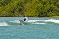 Dolphins Porpoising, Florida