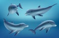 Dolphins realistic. Ocean or marine animals swim fishes with flippers deep blue sea underwater fauna decent vector