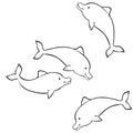 Dolphins sketch set, coloring book, caricature, isolated object on white background, vector