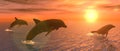 Dolphins at Sunset Royalty Free Stock Photo