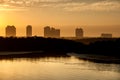 Dolphins swim beneath highrises in the hazy light of a golden sunrise.