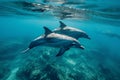 Dolphins swim in sea water, view under water. The image is generated with the use of an AI.