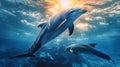 Dolphins swimming in the underwater blue sea at the sunlight Ocean life photography AI generated Royalty Free Stock Photo