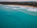 Dolphins swimming in the water at Ulladulla