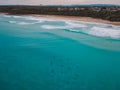 Dolphins swimming in the water at Ulladulla