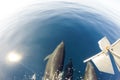 Dolphins swinmming in front of the boat, Galapagos