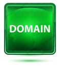 Domain Neon Light Green Square Button Royalty Free Stock Photo