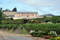 Domaine Carneros vineyard, Napa Valley Royalty Free Stock Photo
