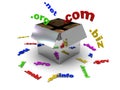 Domains in the box Royalty Free Stock Photo