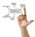 Domains of resilience Royalty Free Stock Photo