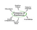 Domains of resilience Royalty Free Stock Photo