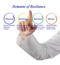 Domains of Resilience Royalty Free Stock Photo