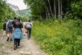 Dombay, Russia 26 July 2020: Group of people go hiking in wooded and hilly area. Rear view of tourists walking on rocky