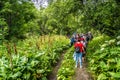 Dombay, Russia 26 July 2020: Group of people go hiking in wooded and hilly area.