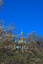 Dome, blue sky and flowering tree