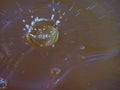 Dome burst crown of water from a water drop impacting a stationary body of water