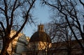 Dome of the Cathedral of Vilnius, surrounded by the old trees Royalty Free Stock Photo