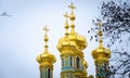 Gilded domes of the Church of Catherine Palace. Tsarskoe selo.