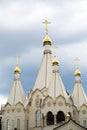 Dome of Church of the new Martyrs and Confessors of Russia Resurrection at the Butovo