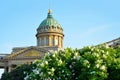 The dome of the Kazan Cathedral on the background of blooming white lilac Royalty Free Stock Photo