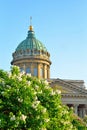 The dome of the Kazan Cathedral on the background of white lilac Royalty Free Stock Photo