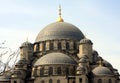 Dome of New Mosque in istanbul Royalty Free Stock Photo