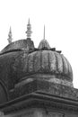 Dome of old historical  Temple   in mandawa Royalty Free Stock Photo