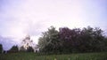 The dome of the Orthodox Church surrounded by flowering Apple trees and green meadow, religion concept. Stock footage Royalty Free Stock Photo