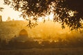 Dome of the Rock with Olive trees and the walls of Jerusalem, Al Aqsa, Palestine