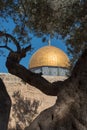 The Dome of the Rock, Temple Mount, al-Aqsa mosque, Jerusalem, Israel Royalty Free Stock Photo