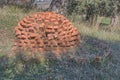 Ancient Brick Dome Oven in Apollonia, Albania