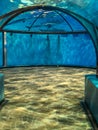 Dome shaped dolphin viewing area at zoo