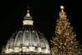 The Dome of St.Peter Basilica and the top of the Christmas tree at Vatican