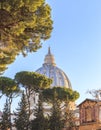 The Dome Of St. Peter`s Basilica In The Vatican